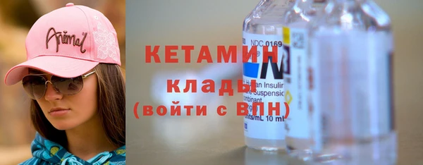 индика Алексин