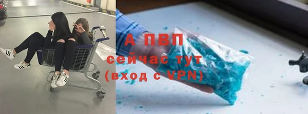 индика Алексин