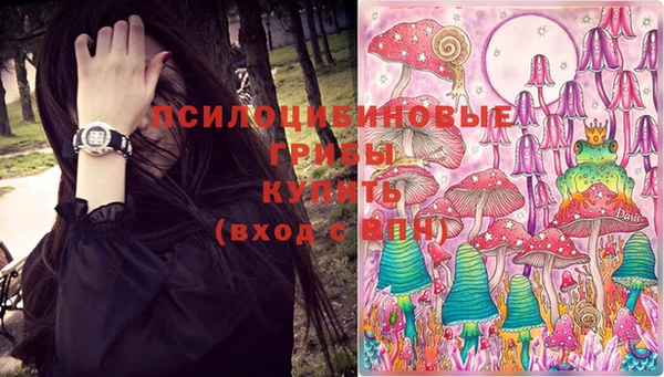 индика Алексин