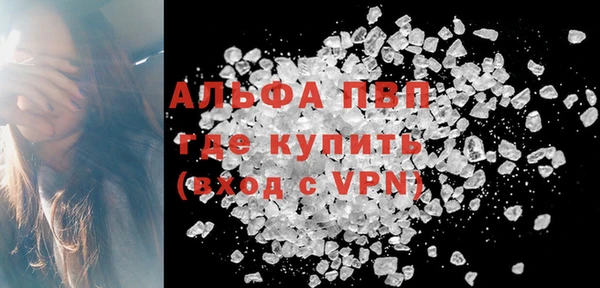 индика Алексин