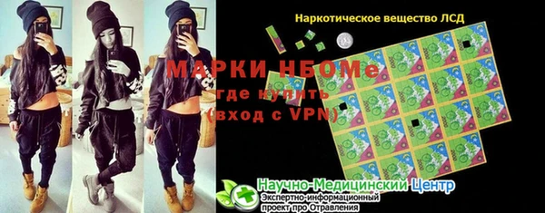 индика Алексин