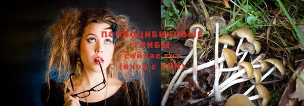 не бодяженный Алзамай