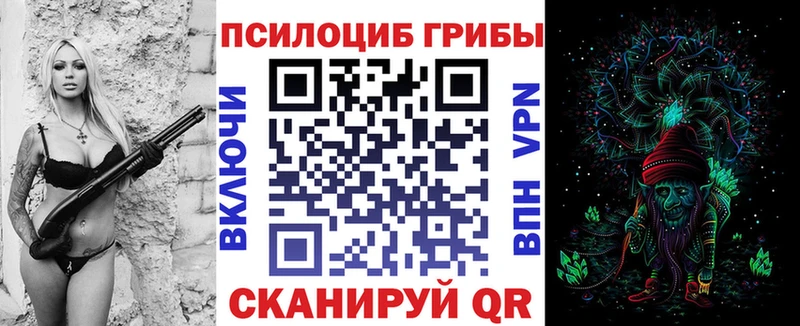 дарнет шоп  Спасск-Рязанский  Галлюциногенные грибы Cubensis 